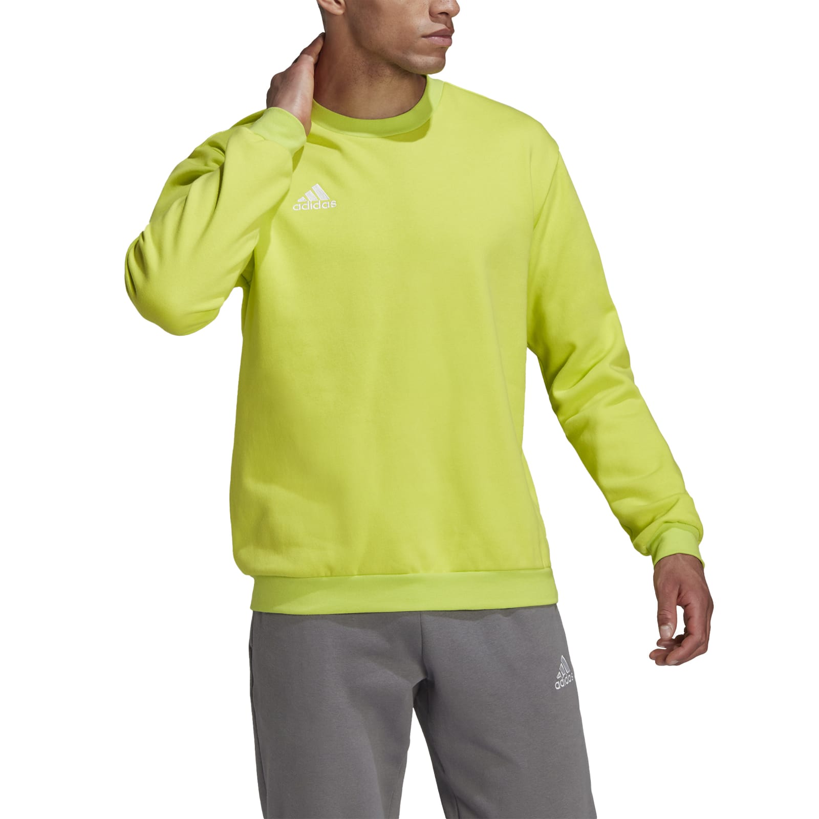 Adidas Džemperis Entrada 22 Sweatshirt Top HC5049