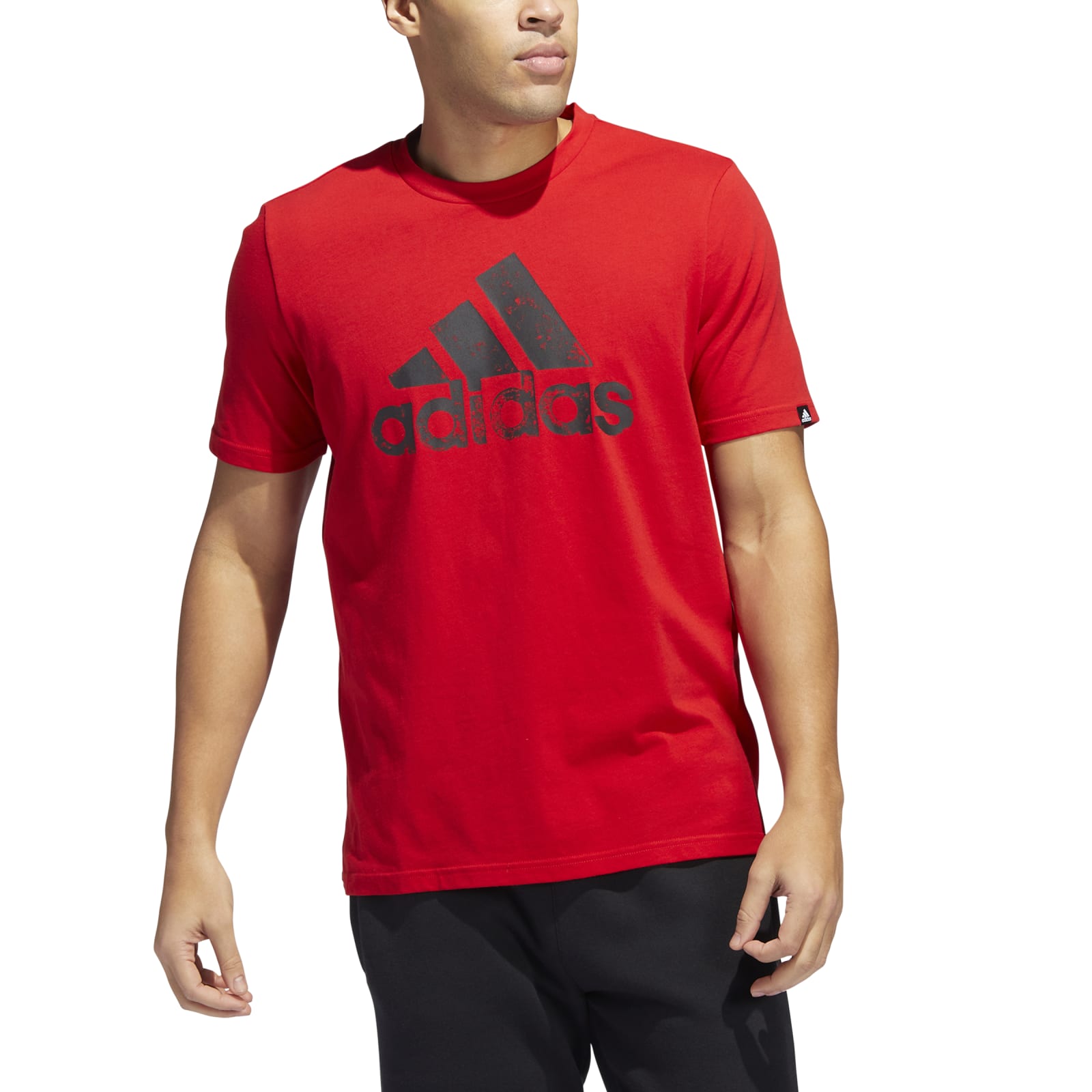 Adidas Marškinėliai M Big Logo T-Shirts HE4796